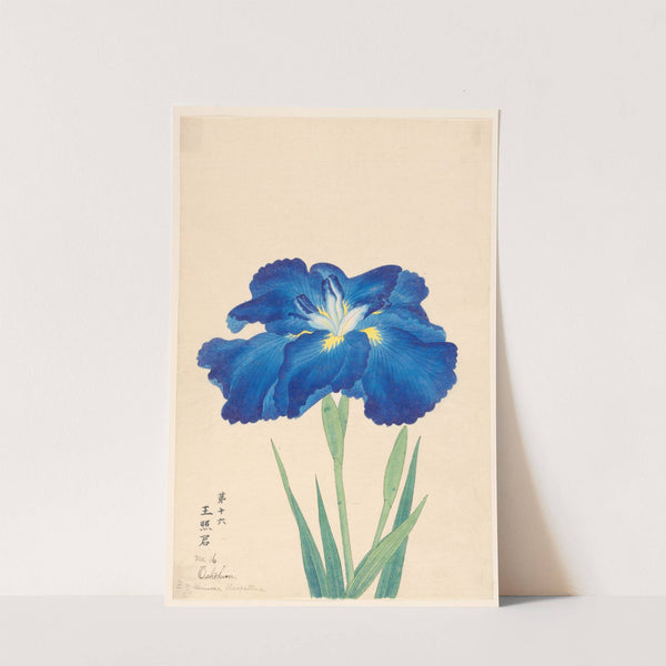 Chinese Cleopatra (Oshokun) (1910)