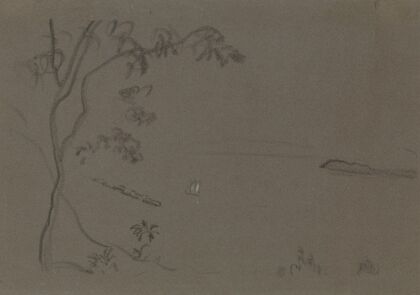 Chinese Landscape