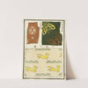 Chinese prints pl.25 (1871-1894) by A. F. Stoddard & Company