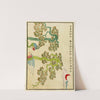 Chinese prints pl.30 (1871-1894) by A. F. Stoddard & Company