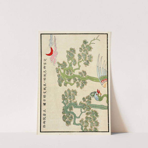Chinese prints pl.59 (1871-1894) by A. F. Stoddard & Company