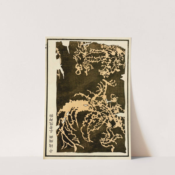 Chinese prints pl.74 (1871-1894) by A. F. Stoddard & Company