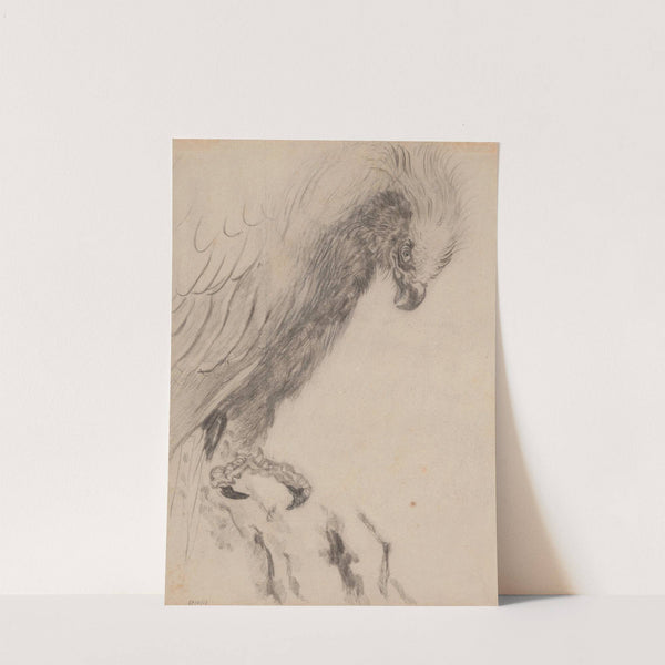 Chinoiserie, a Bird of Prey by James Ensor
