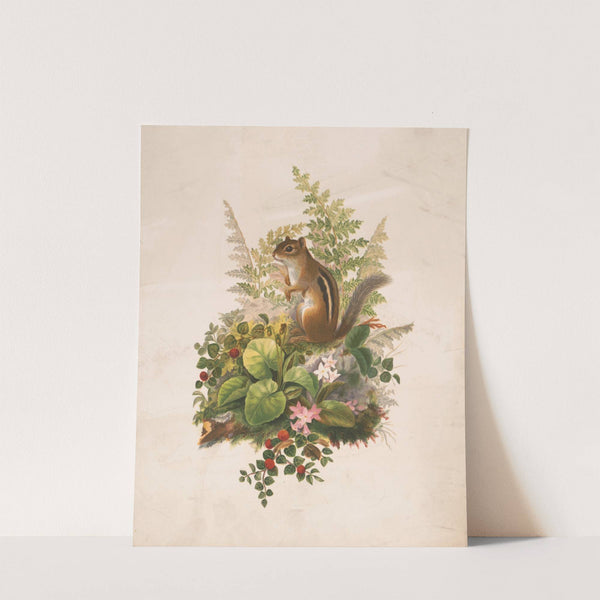Chipmunk and ferns (1874) by Olive E Whitney