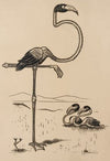 Eleven comic strip frames of flamingo shaping figures with its long neck Pl.7