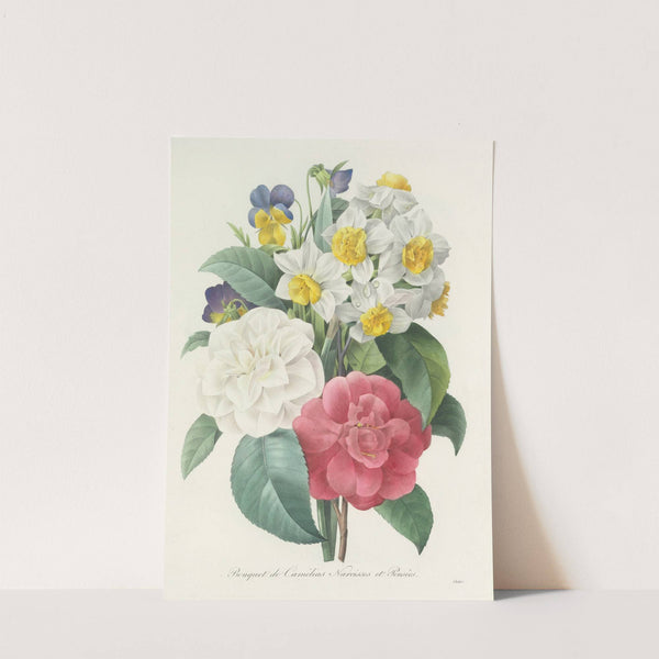 Choix des plus belles fleurs pl 015 by Pierre Joseph Redouté