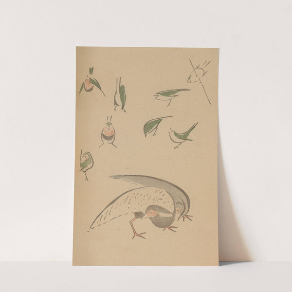 Chōjū ryakugashiki, Pl.15 by Masayoshi Kitao