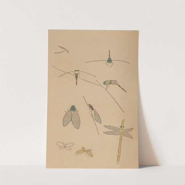 Chōjū ryakugashiki, Pl.34 by Masayoshi Kitao