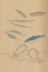 Chōjū ryakugashiki, Pl.46 (1868-1912)