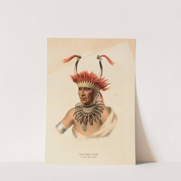 Chon-Mon-I-Case. An Otto Half Chief (ca. 1837-1844) by Charles Bird King