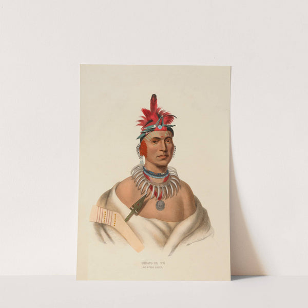 Chono Ca Pe. An Ottoe Chief (ca. 1837-1844) by Charles Bird King