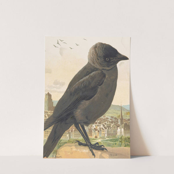 Choucas (corbeau) by Léo-Paul Robert