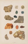 Wielki atlas do zoologii, botaniki i mineralogii Pl.113 (1887)