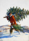 Christmas Tree – Chadds Ford