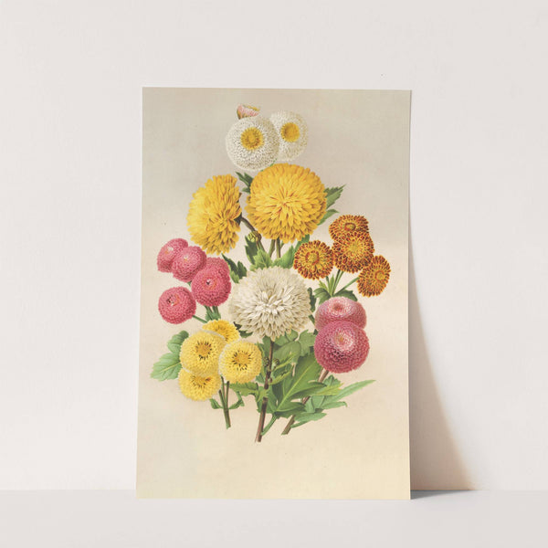 Chrysanthèmes d’automne. by Charles Antoine Lemaire