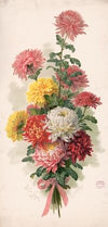 Chrysanthemums