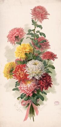 Chrysanthemums