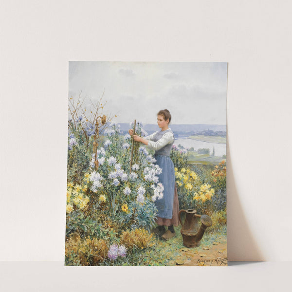 Chrysanthemums by Daniel Ridgway Knight