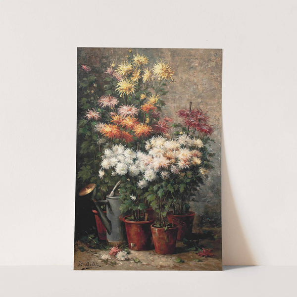 Chrysanthemums by Hubert Bellis