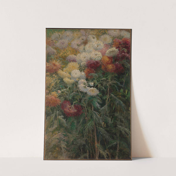 Chrysanthemums in the Garden at Petit-Gennevilliers by Gustave Caillebotte