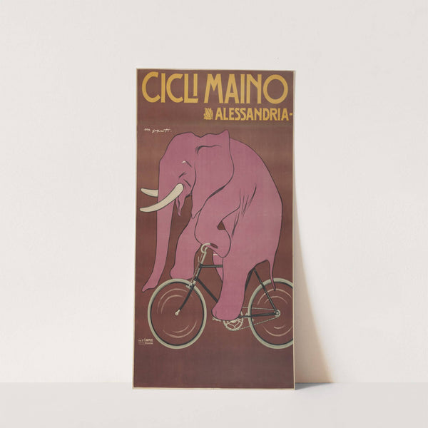 Cicli Maino. Alessandria by Arnaldo Ferraguti