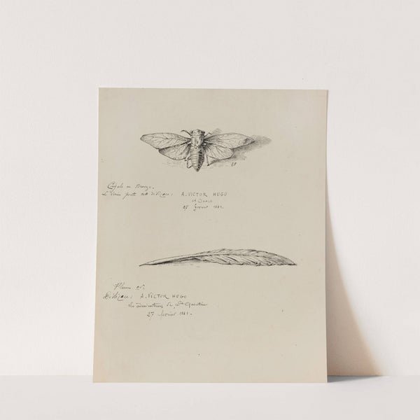 Cigale en bronze et Plume or (1882-1883) by Gustave Fraipont