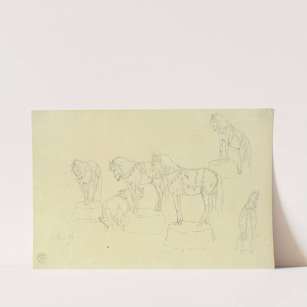 Circuspferde, auf Tonnen balancierend by Heinrich Lang