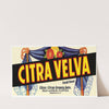 Citra Velva Citrus Label (1930-1950)