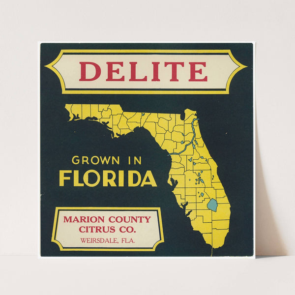 Citrus Label for Delite – Black and Yellow (1930-1950)