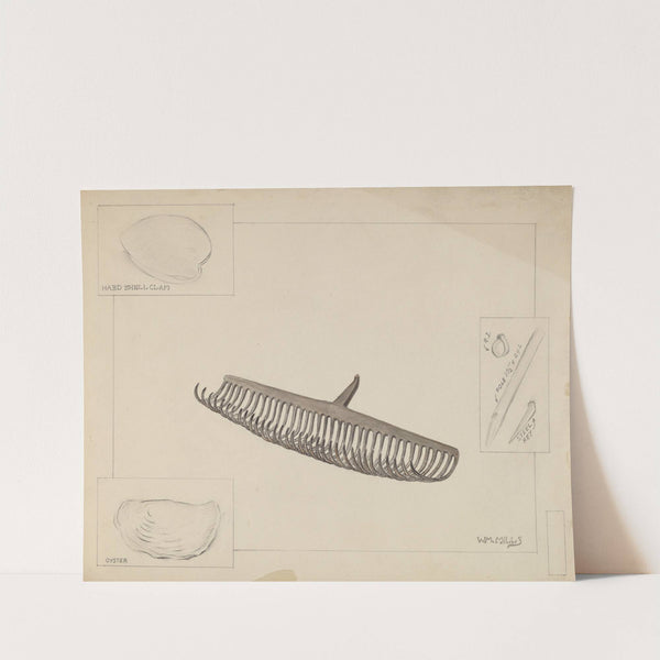 Clam Rake by William Mills