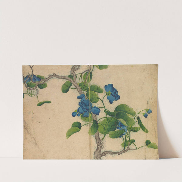 Climbing Blue Flowers by Zhang Ruoai