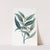 Climbing Pothos by Sydenham Edwards