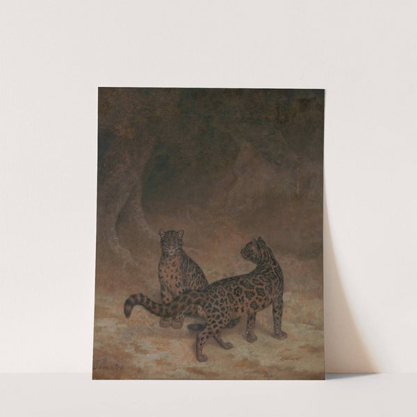 Clouded Leopards by Jacques-Laurent Agasse