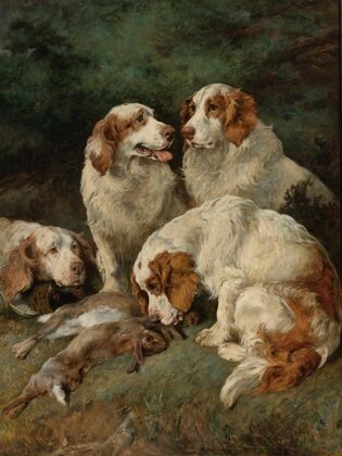 Clumber Spaniels With The day’s Bag