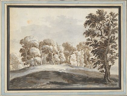 Clump of Trees Beyond Hills