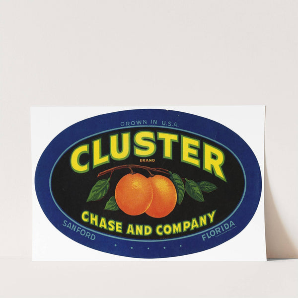 Cluster Brand Citrus Label (1930-1950)