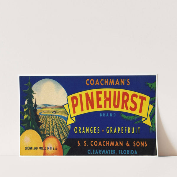 Coachman’s Pinehurst Brand Citrus Label (1930-1950)