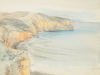 Coast near Dunedin