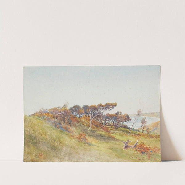 Coast near Paekakariki by Edward Barraud