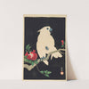 Cockatoo and pomegranate by Ohara Koson