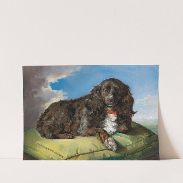 Cocker Spaniel auf grünem Polster liegend by Theodor Petter