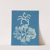 Codium tomentosum (1843-1853) by Anna Atkins