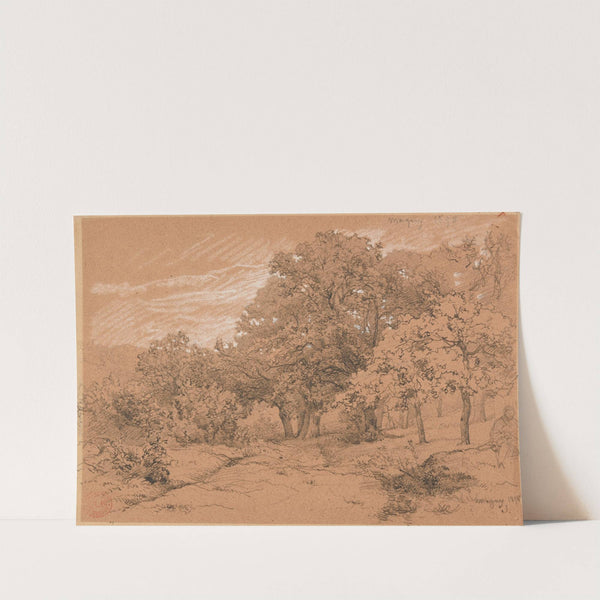 Coin de bois à Magny by Jacques-Raymond Brascassat