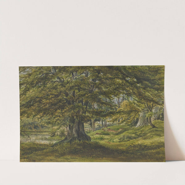 Coldbath, Moseley by W Nicholls