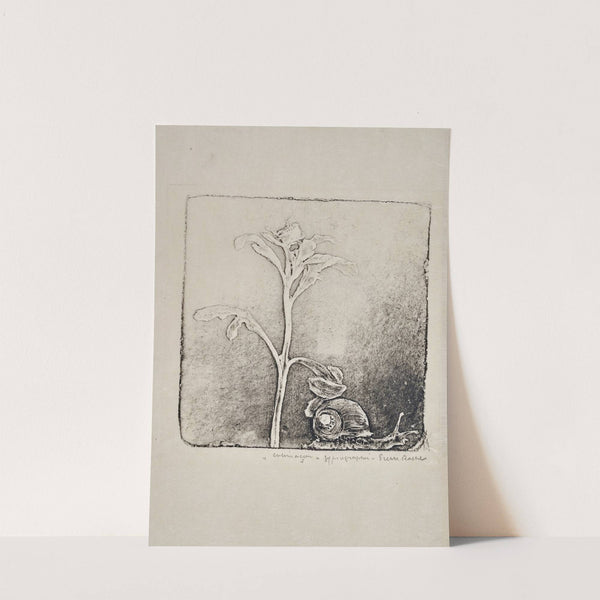 Colimaçon (1897) by Pierre Roche