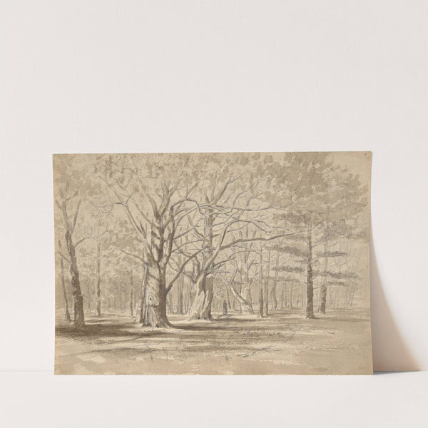 College Woods by William Fowler Hopson