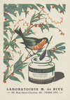 Collucromex (1951)