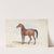 Colt Third Issue of Brood Mare and Second by the Black Arab (1837) by Charles Hamilton Smith