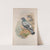 Columba livia. Rock-Pigeon. (1862-1873) by John Gould