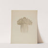 Comb by Daniel Marshack